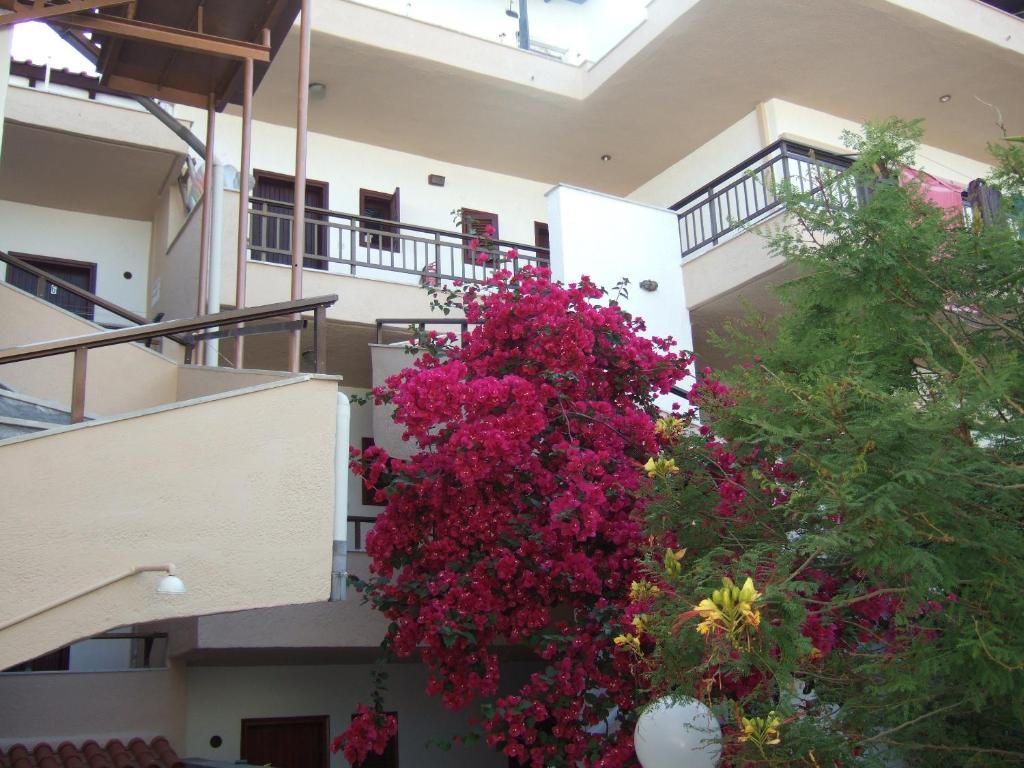 Kiwi Apartments Nea Fokea Ngoại thất bức ảnh